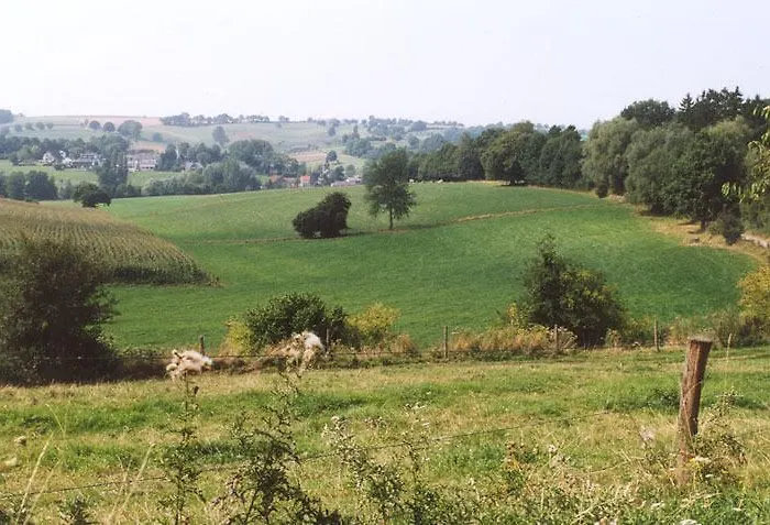 Kreutzer 2* Heijenrath